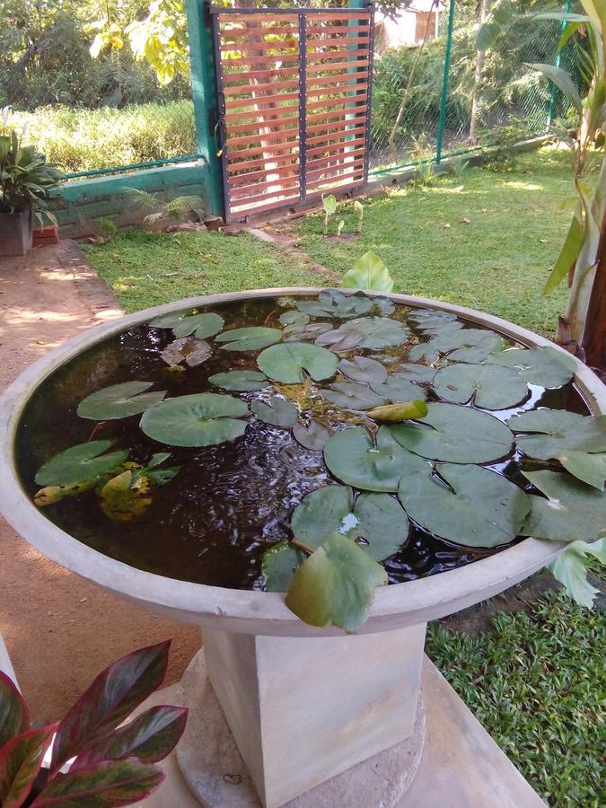 Вілла Waterway Garden Полоннарува Екстер'єр фото