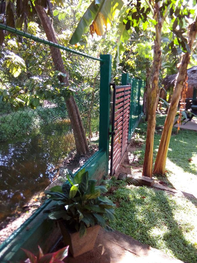 Вілла Waterway Garden Полоннарува Екстер'єр фото
